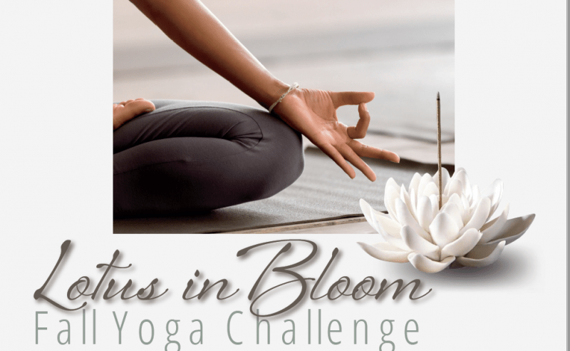 Lotus in Bloom Fall Yoga Challenge